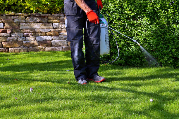 Best Outdoor Pest Control  in Lansdowne, PA